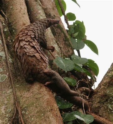 Pangolin: A Surprisingly Charming Adventure Through Bamboo Forests!